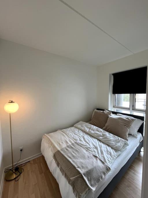 Moderne Lejlighed I Hjertet Af Odense C Apartment Екстериор снимка