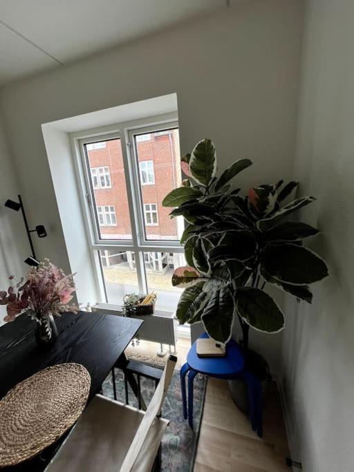Moderne Lejlighed I Hjertet Af Odense C Apartment Екстериор снимка